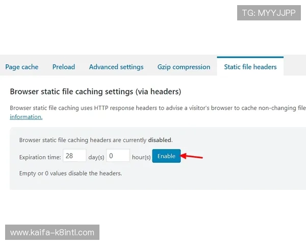 凯发网址登录线路最新优化方案确保玩家顺畅体验的详细指南